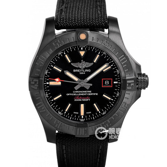 Replica Stainless Steel Mechanical Watch BL25
